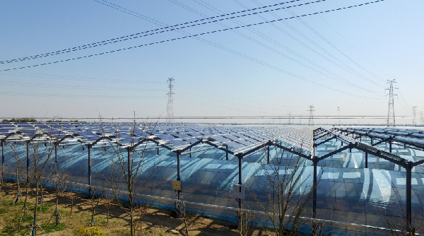 首页| 凯发K8国际·天生赢家一触即发