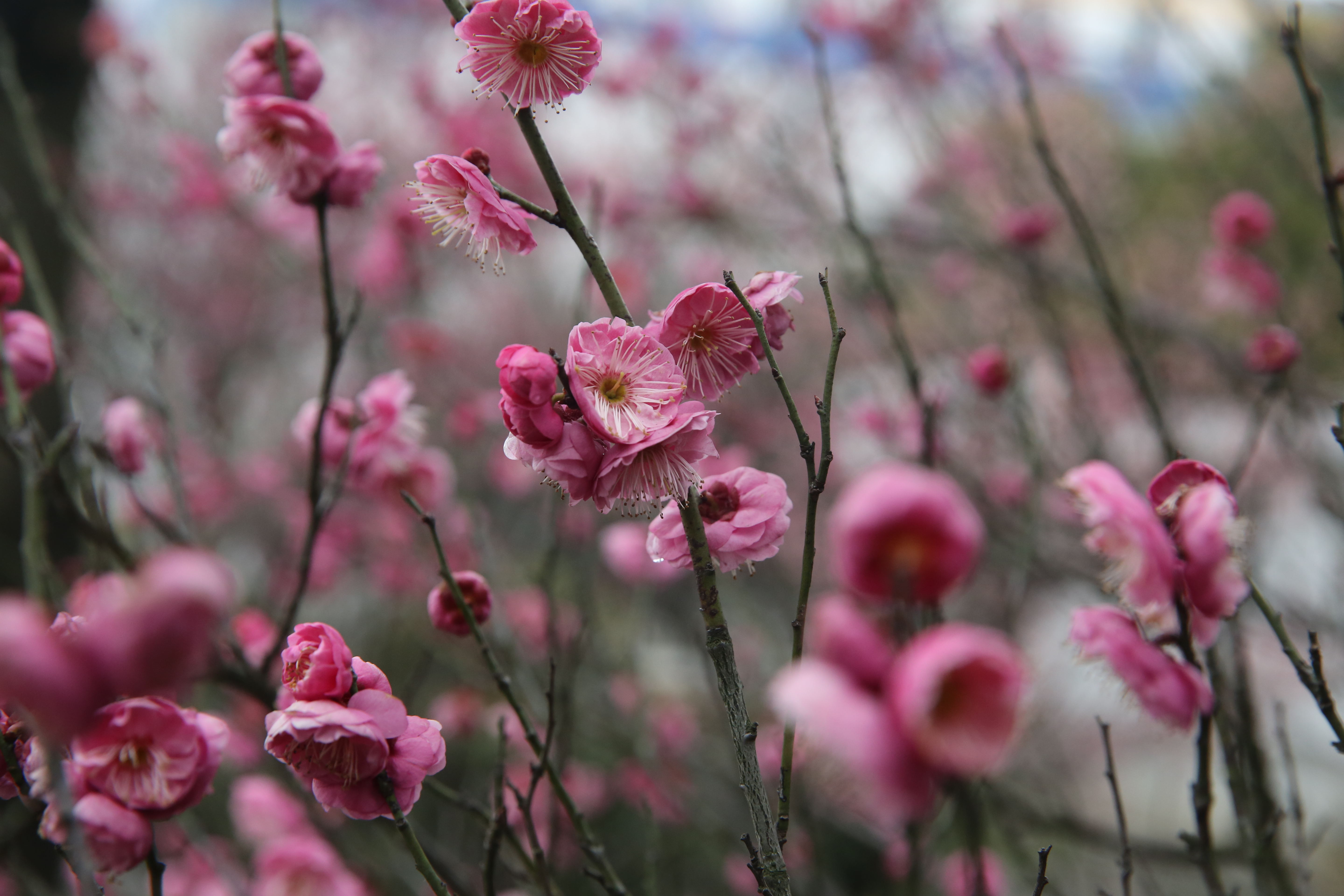 首页| 凯发K8国际·天生赢家一触即发