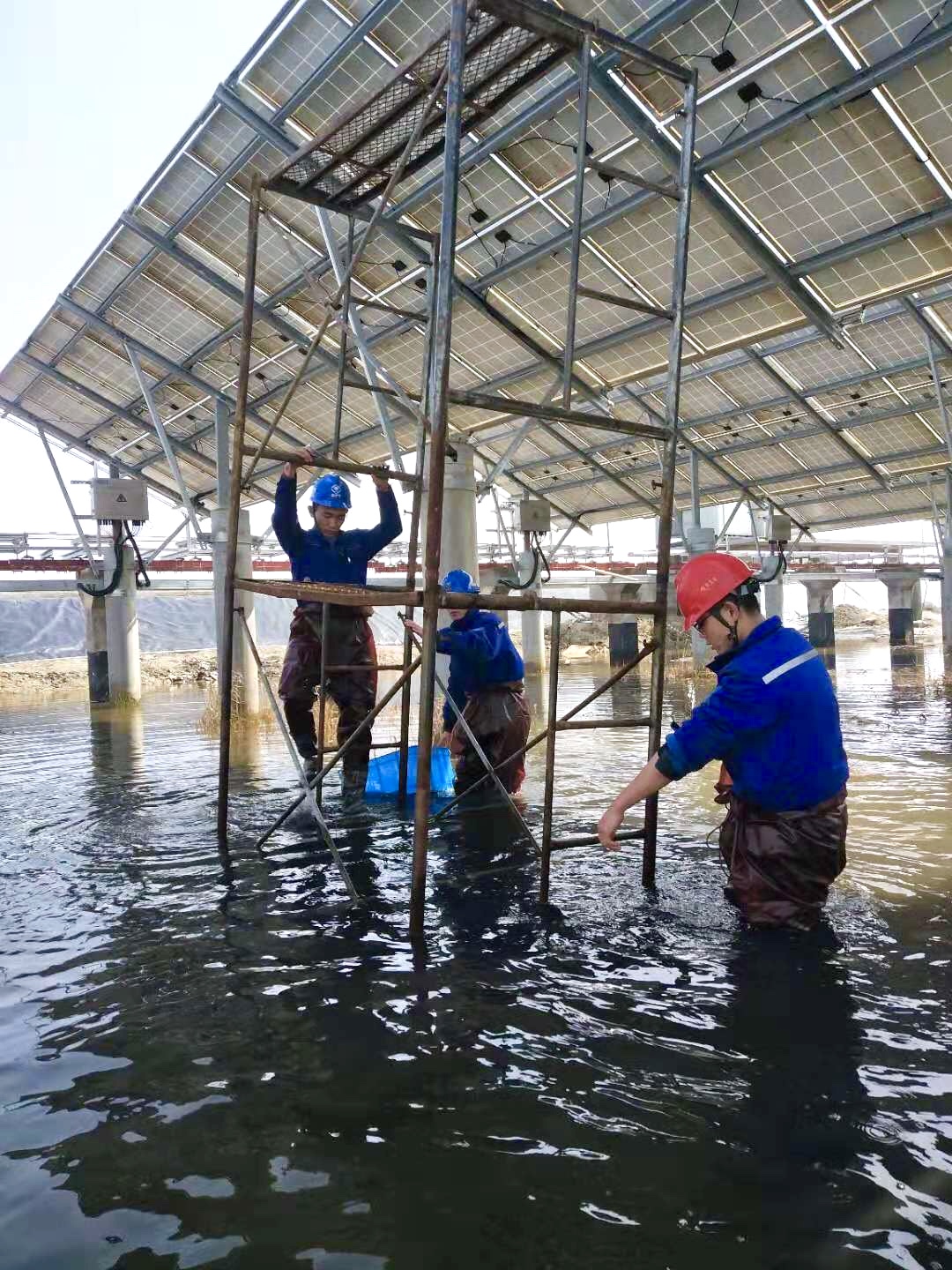 首页| 凯发K8国际·天生赢家一触即发