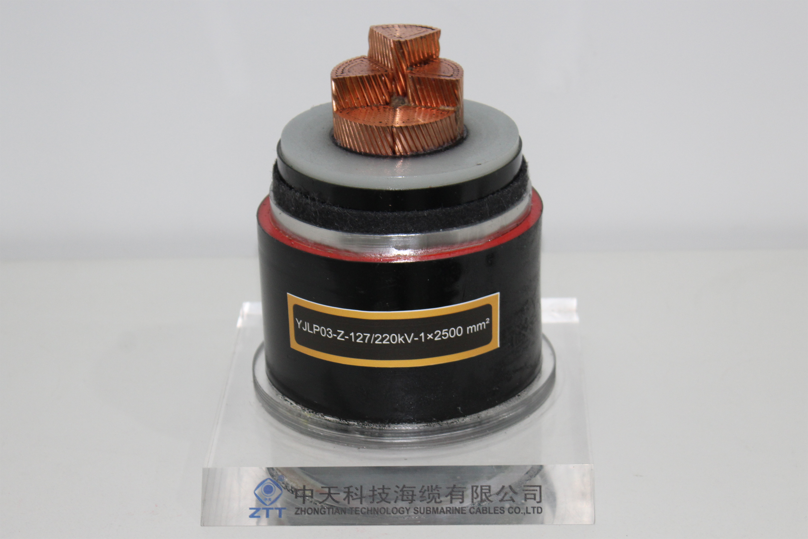 首页| 凯发K8国际·天生赢家一触即发