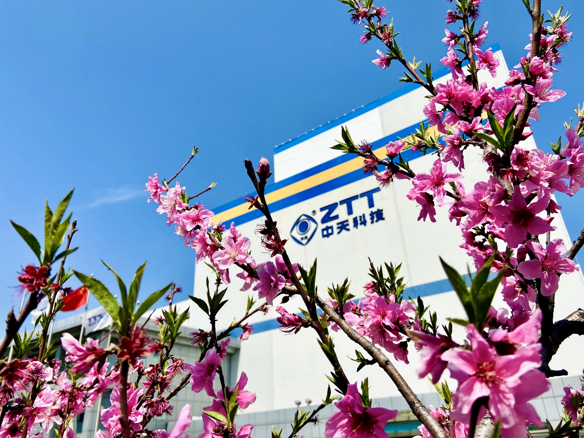 首页| 凯发K8国际·天生赢家一触即发