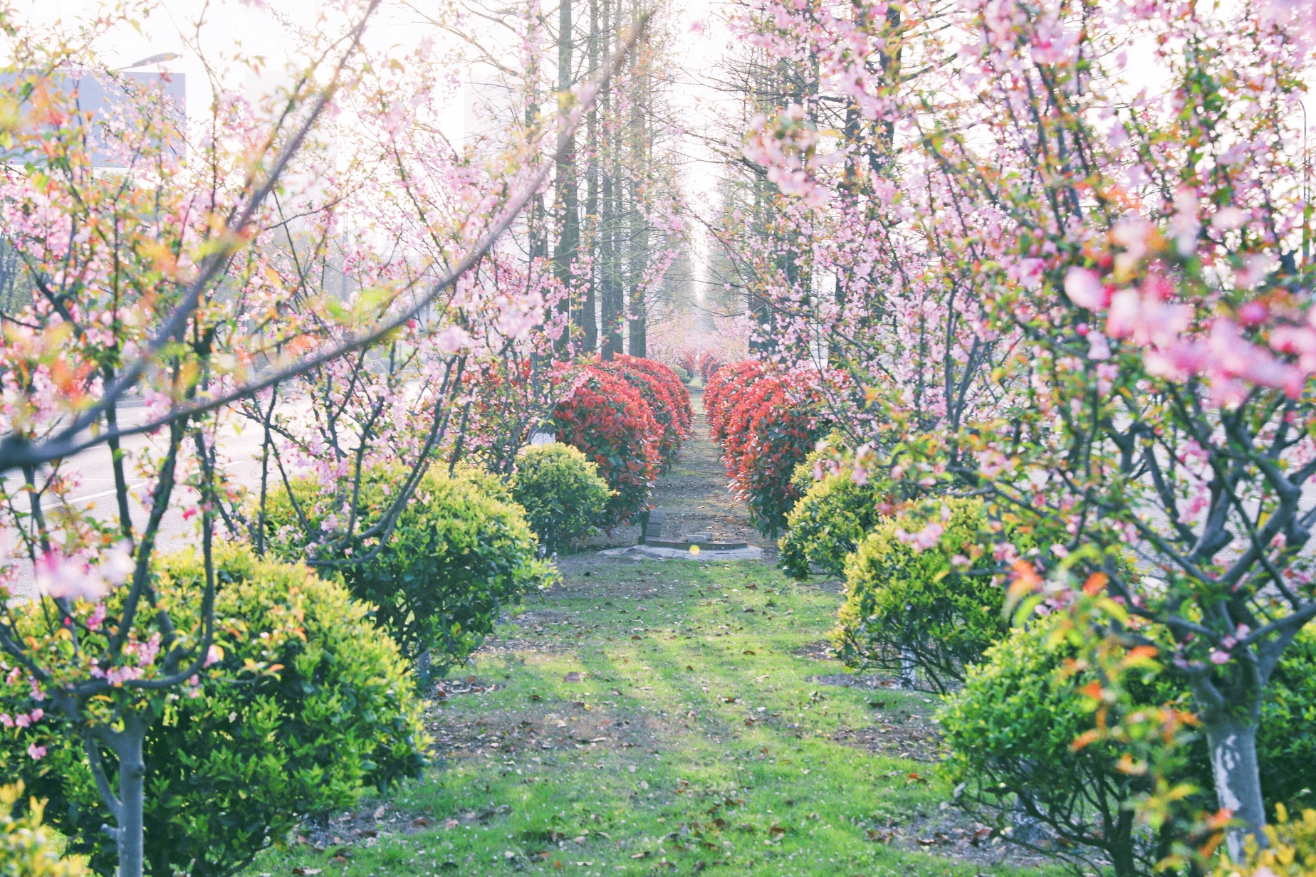 首页| 凯发K8国际·天生赢家一触即发