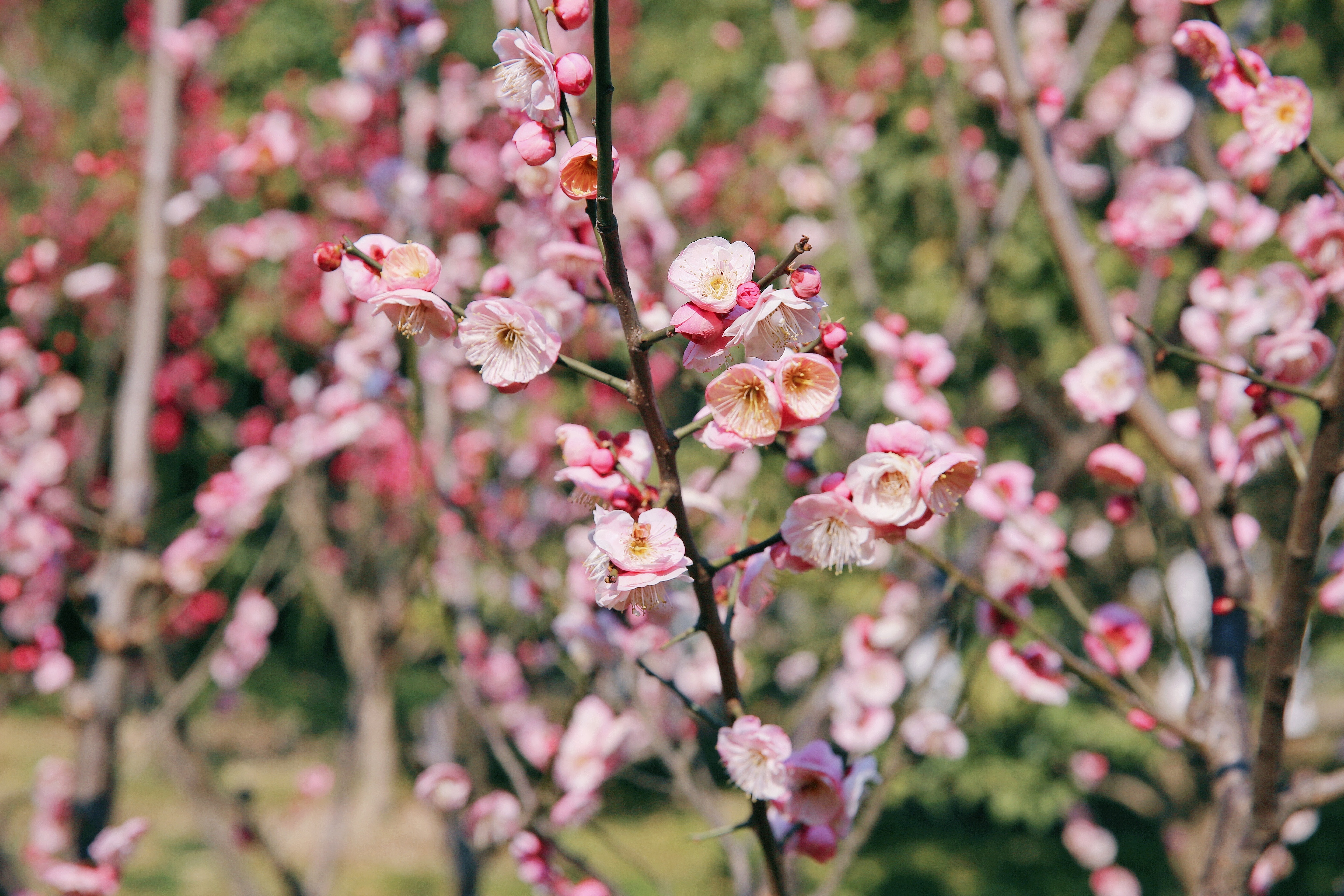 首页| 凯发K8国际·天生赢家一触即发