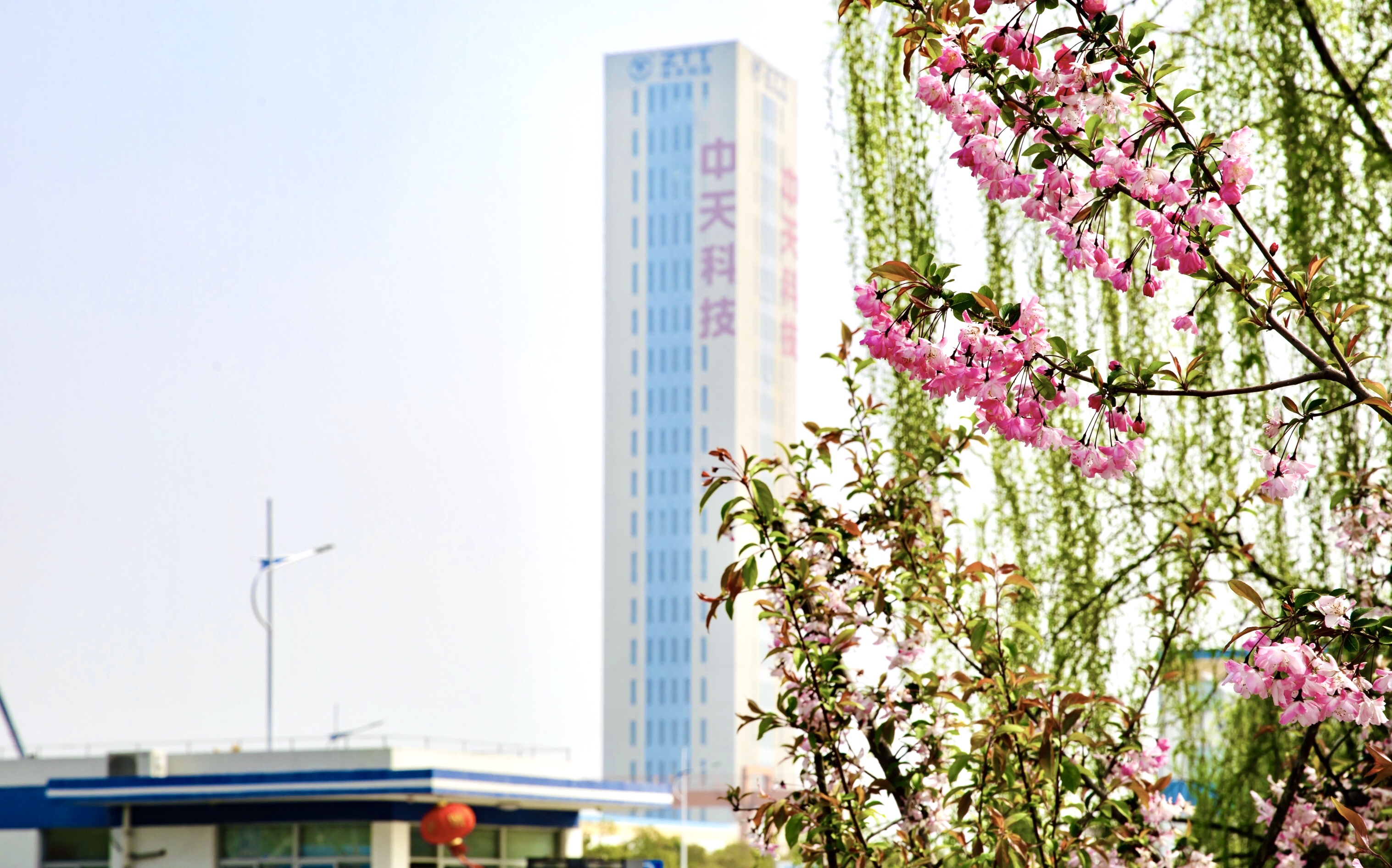 首页| 凯发K8国际·天生赢家一触即发