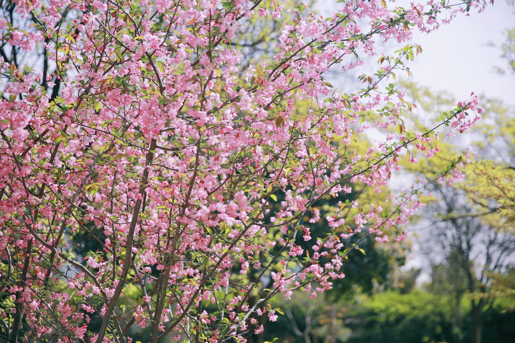 首页| 凯发K8国际·天生赢家一触即发